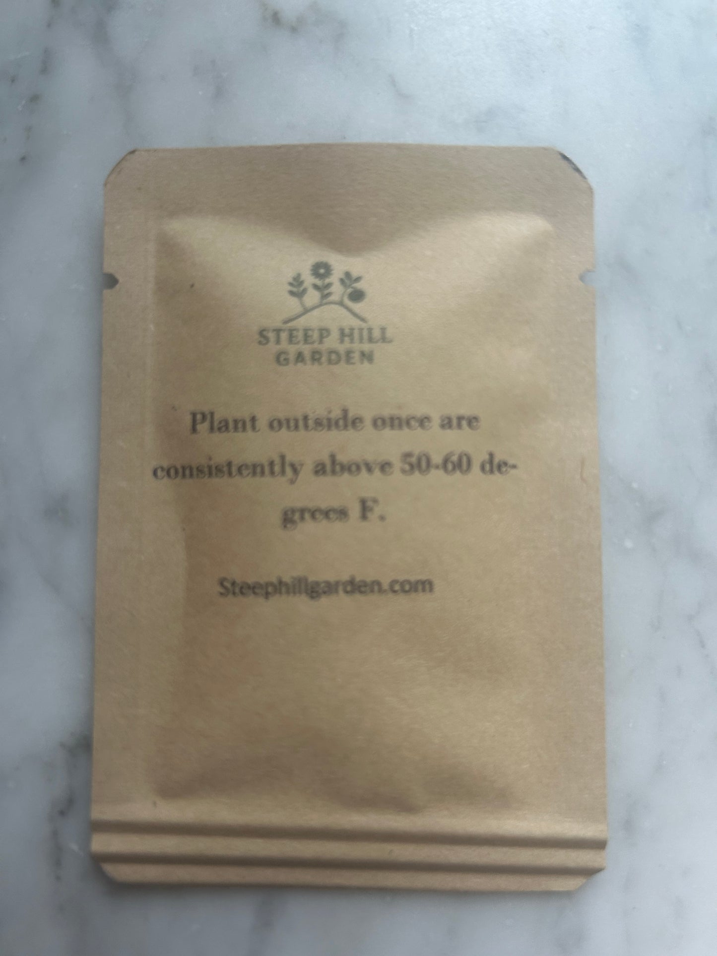 Sucrine Du Berry Squash Seeds (25 Seeds), Annual, Full Sun