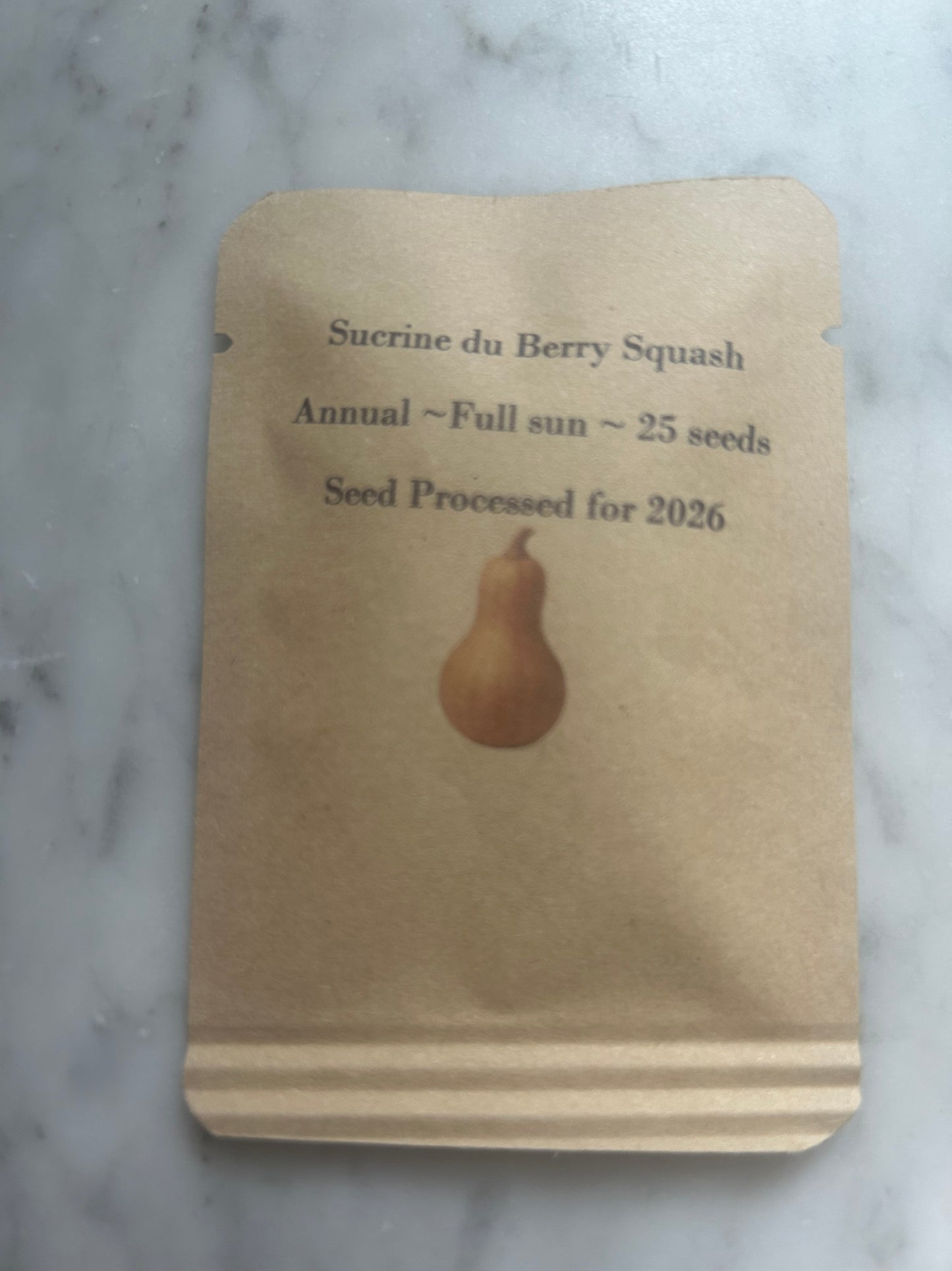 Sucrine Du Berry Squash Seeds (25 Seeds), Annual, Full Sun