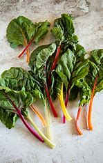 Swiss Chard 'Bright Lights' Live Plants – Colorful Mix, Warm-Season Spinach Alternative, Annual