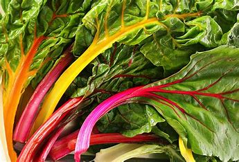 Swiss Chard 'Bright Lights' Live Plants – Colorful Mix, Warm-Season Spinach Alternative, Annual