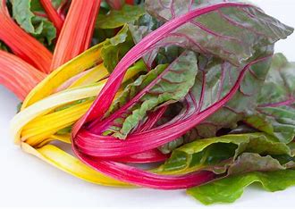 Swiss Chard 'Bright Lights' Live Plants – Colorful Mix, Warm-Season Spinach Alternative, Annual