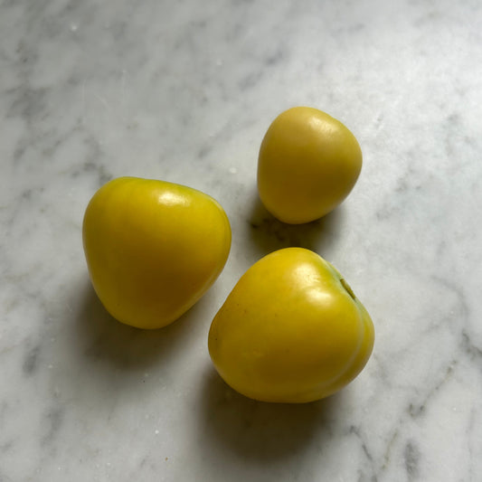 Tomatillo Seeds Chupon de Malinalco Seeds (25 Seeds)