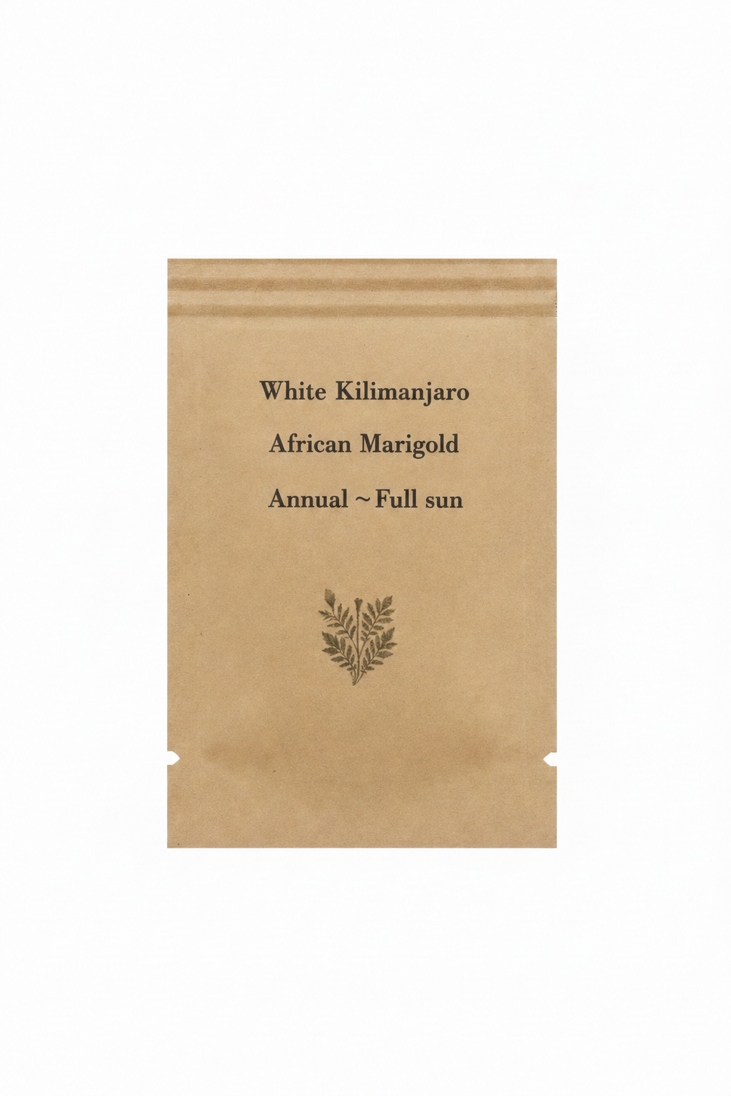 White Kilimanjaro African Marigold Seeds - Annual Flower, Full Sun, White Blooms — seed packet image