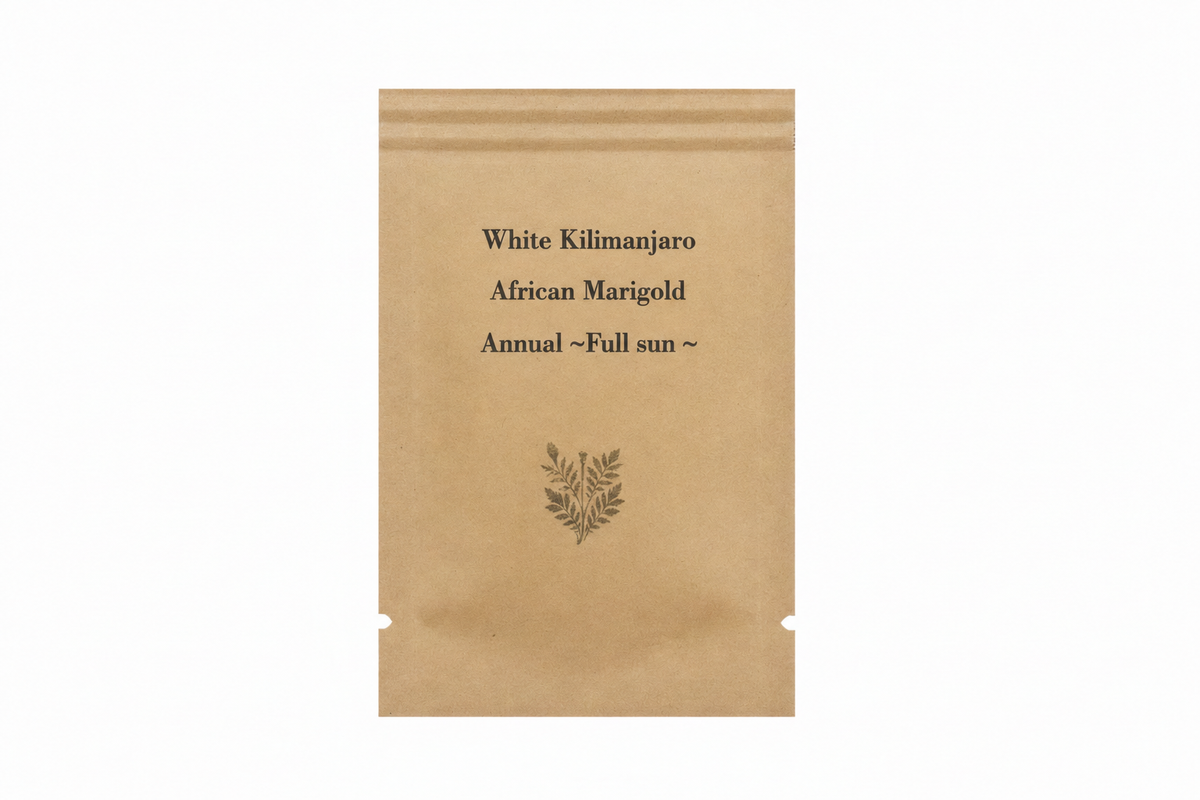 White Kilimanjaro African Marigold Seeds - Annual Flower, Full Sun, White Blooms — seed packet image